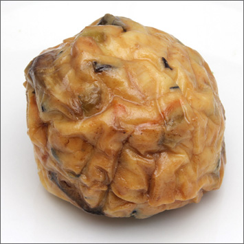 伊勢ひりょうず